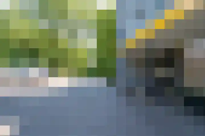 Veldzuring 21 Venlo thumbnail 43