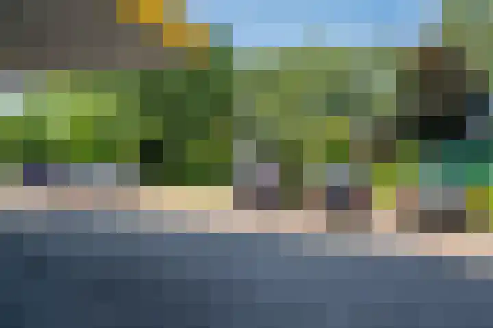Veldzuring 21 Venlo thumbnail 45
