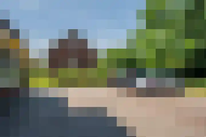 Veldzuring 21 Venlo thumbnail 46