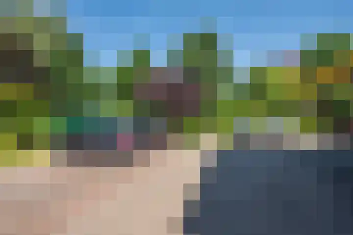 Veldzuring 21 Venlo thumbnail 47