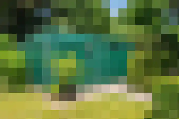 Veldzuring 21 Venlo thumbnail 48