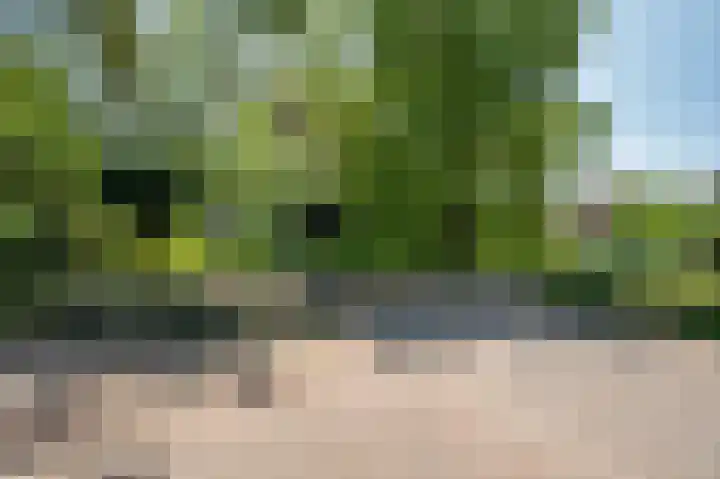 Veldzuring 21 Venlo thumbnail 49