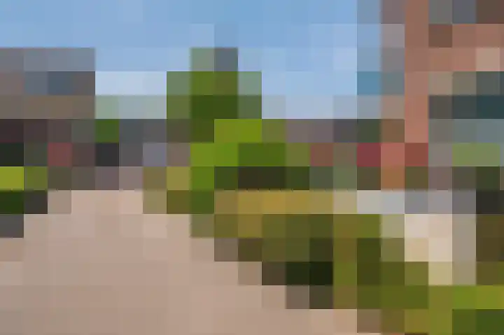 Veldzuring 21 Venlo thumbnail 50