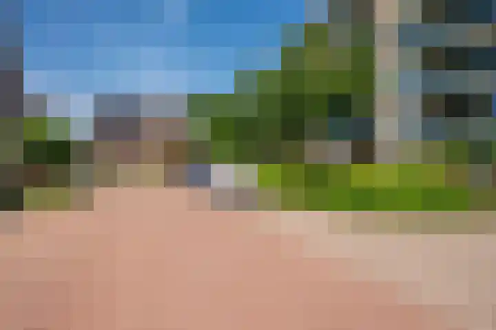 Veldzuring 21 Venlo thumbnail 51
