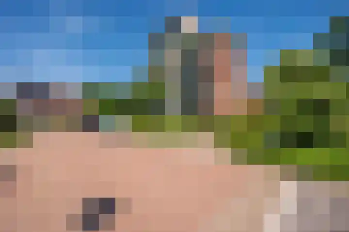 Veldzuring 21 Venlo thumbnail 52