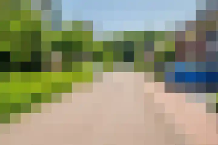 Veldzuring 21 Venlo thumbnail 54