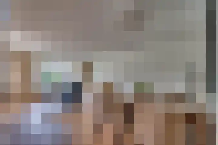 Veldzuring 21 Venlo thumbnail 7