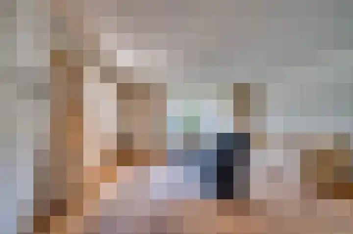 Veldzuring 21 Venlo thumbnail 8