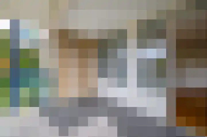 Veldzuring 23 Venlo thumbnail 10