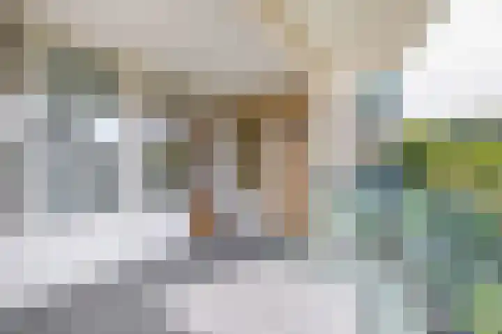 Veldzuring 23 Venlo thumbnail 11
