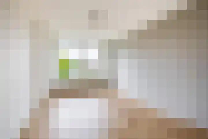 Veldzuring 23 Venlo thumbnail 14