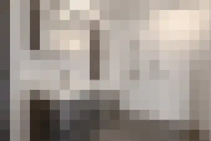 Veldzuring 23 Venlo thumbnail 17