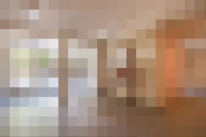 Veldzuring 23 Venlo thumbnail 21