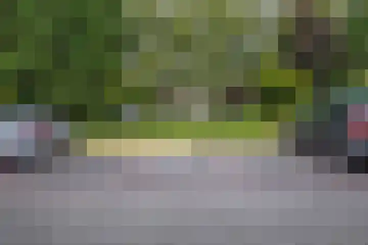 Veldzuring 23 Venlo thumbnail 24