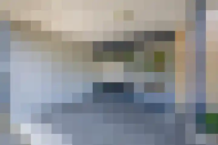 Veldzuring 23 Venlo thumbnail 25