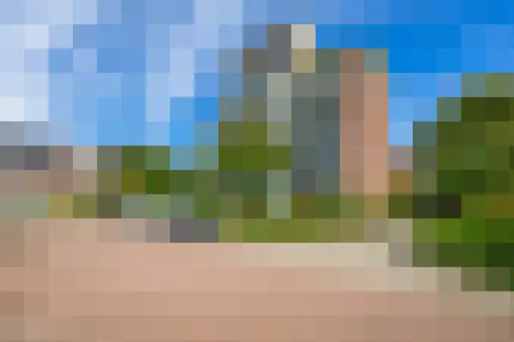 Veldzuring 23 Venlo thumbnail 26