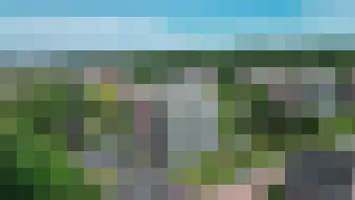 Veldzuring 23 Venlo thumbnail 29