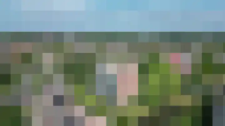 Veldzuring 23 Venlo thumbnail 30