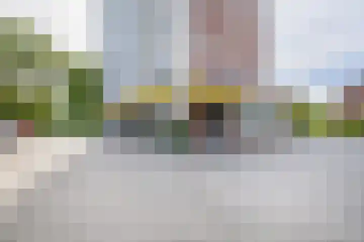 Veldzuring 23 Venlo thumbnail 5