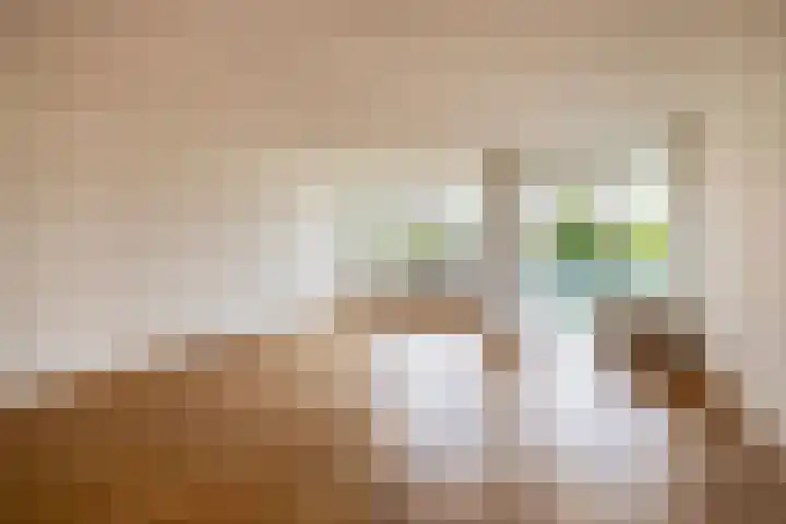 Veldzuring 23 Venlo thumbnail 6