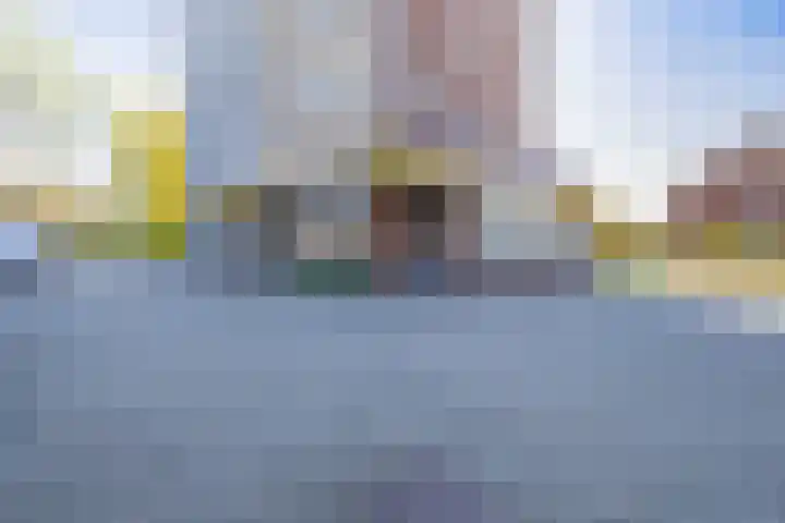 Veldzuring 41 Venlo thumbnail 22