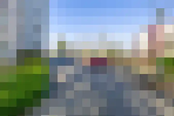 Veldzuring 41 Venlo thumbnail 23