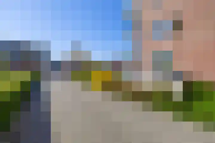 Veldzuring 41 Venlo thumbnail 24