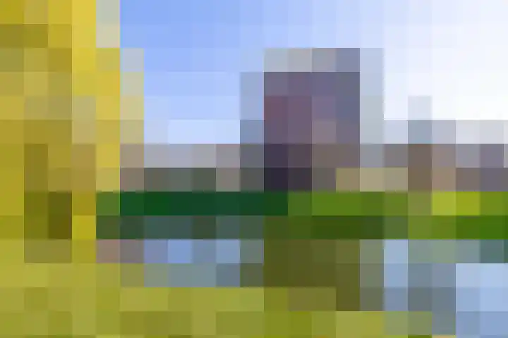 Veldzuring 41 Venlo thumbnail 25