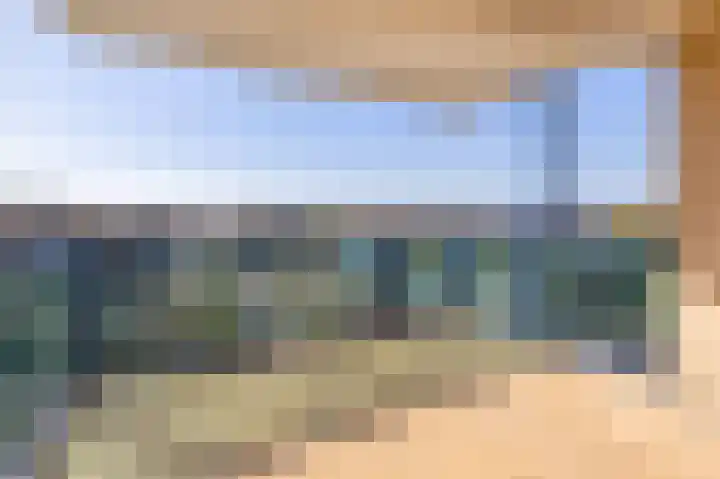 Veldzuring 41 Venlo thumbnail 8