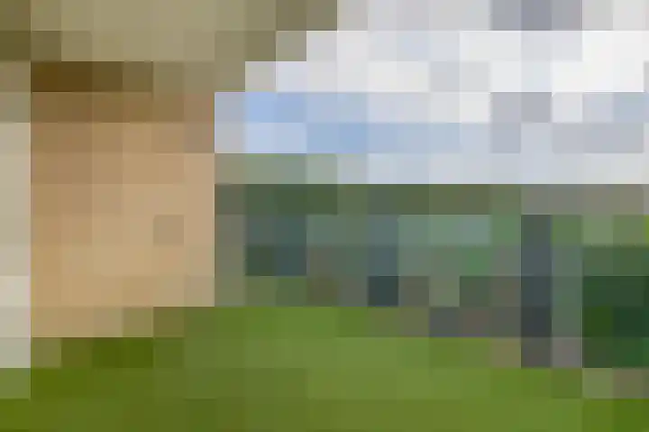 Veldzuring 47 Venlo thumbnail 18