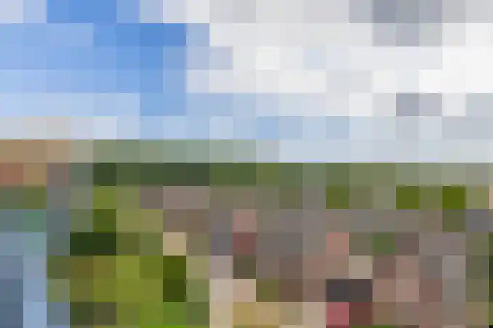 Veldzuring 47 Venlo thumbnail 19