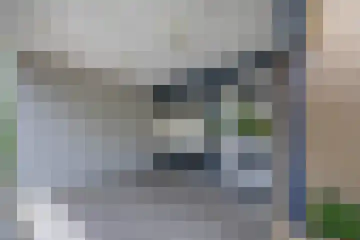 Veldzuring 47 Venlo thumbnail 22