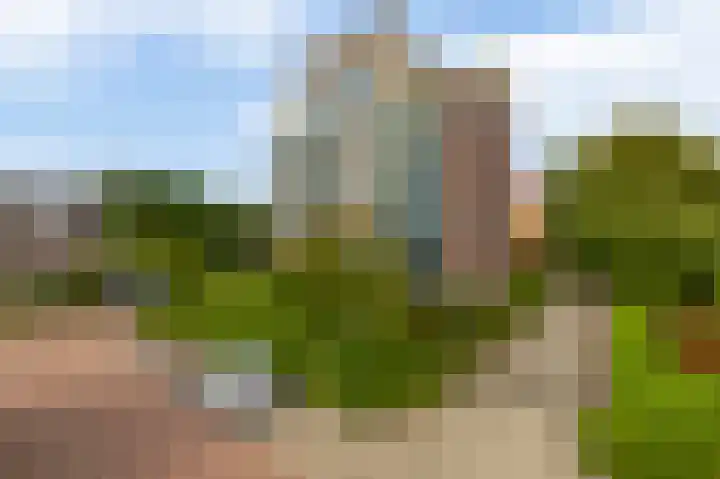 Veldzuring 47 Venlo thumbnail 24