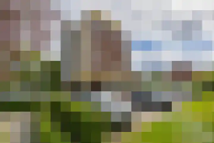 Veldzuring 47 Venlo thumbnail 25