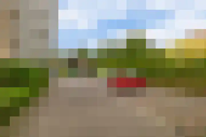 Veldzuring 47 Venlo thumbnail 26