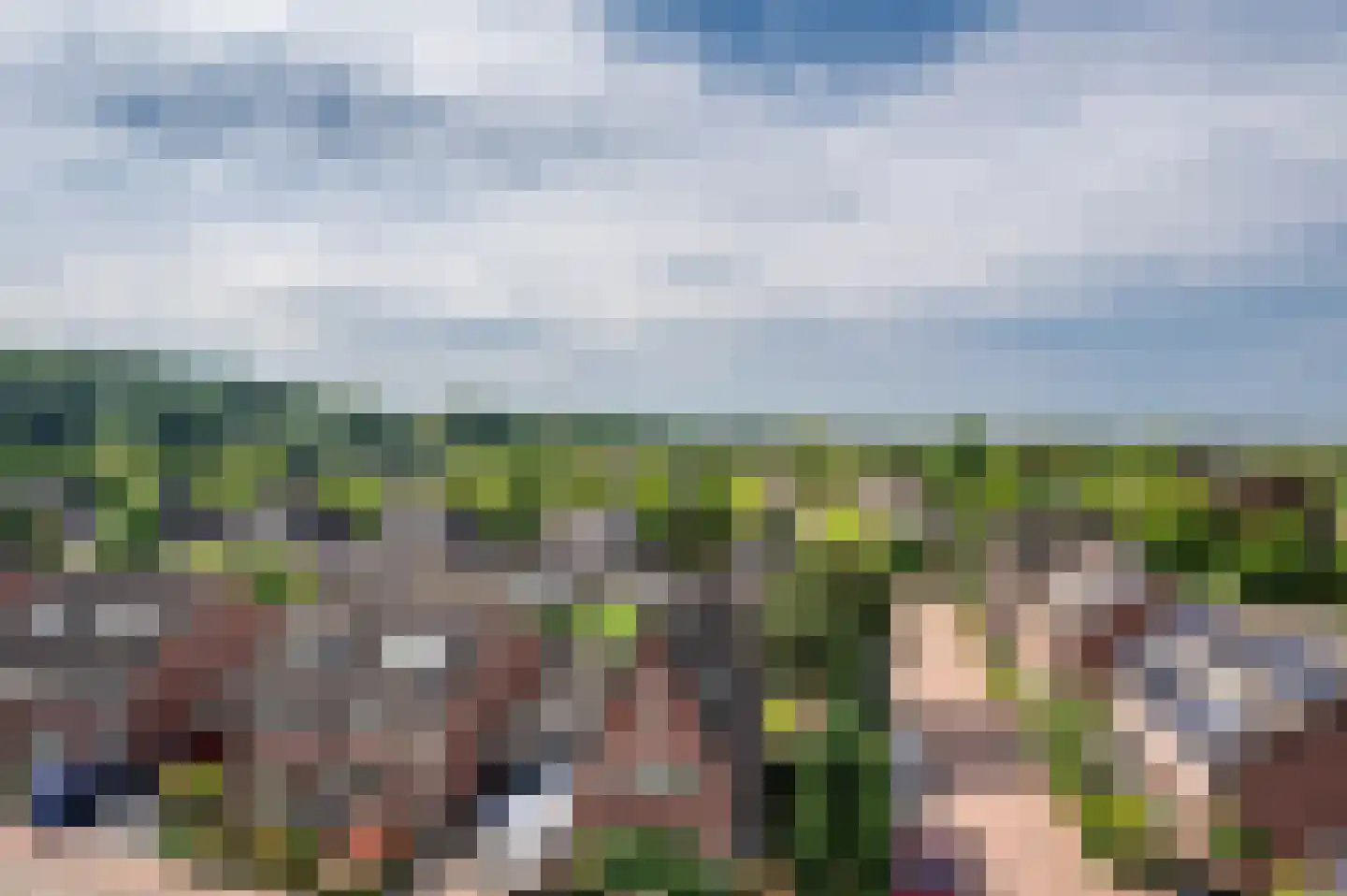 Veldzuring 53 Venlo thumbnail 11