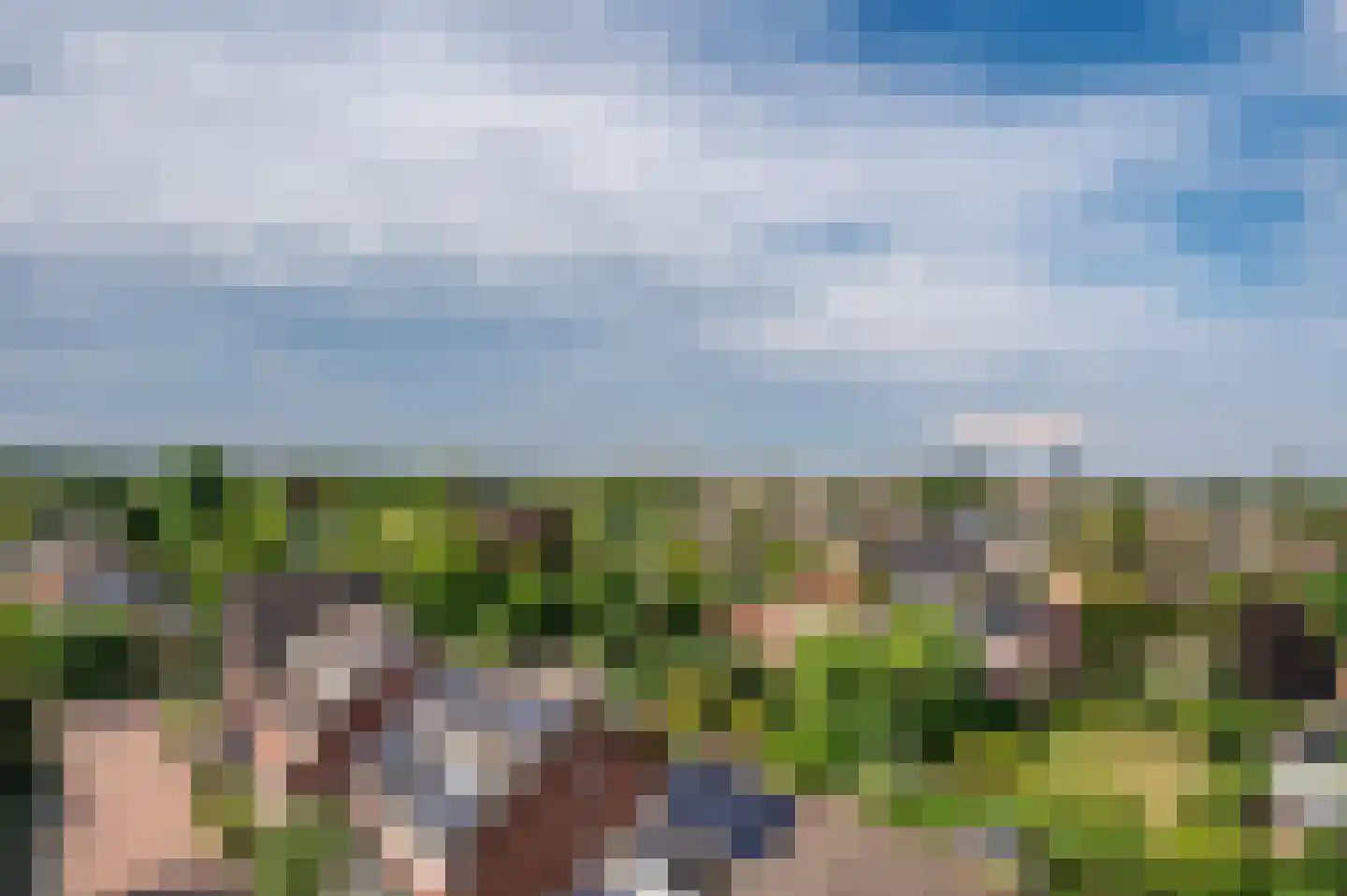Veldzuring 53 Venlo thumbnail 12