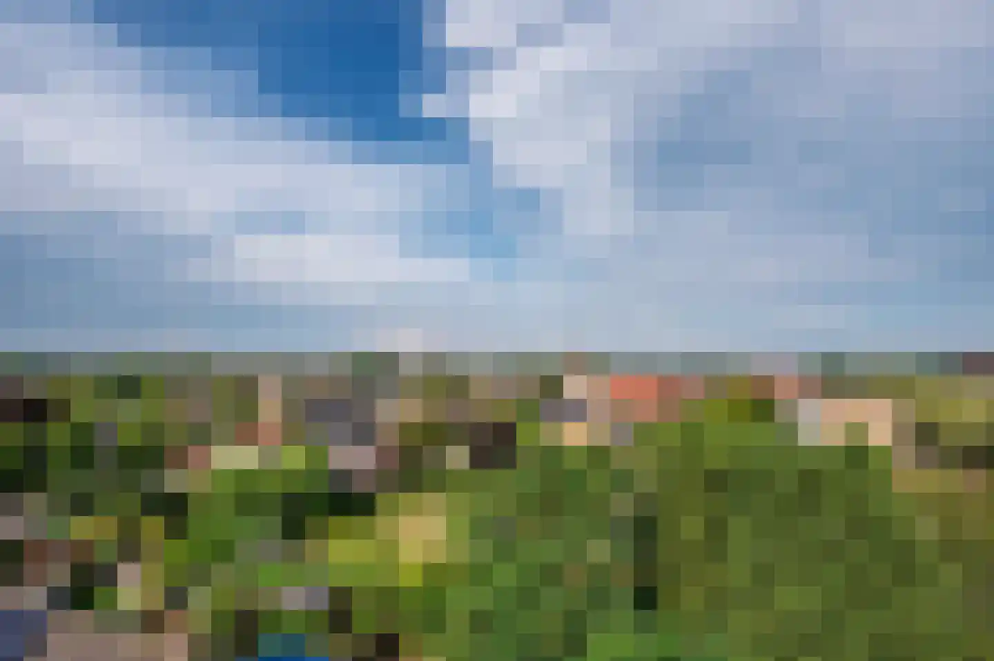 Veldzuring 53 Venlo thumbnail 26