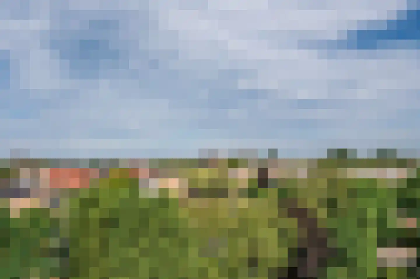 Veldzuring 53 Venlo thumbnail 27