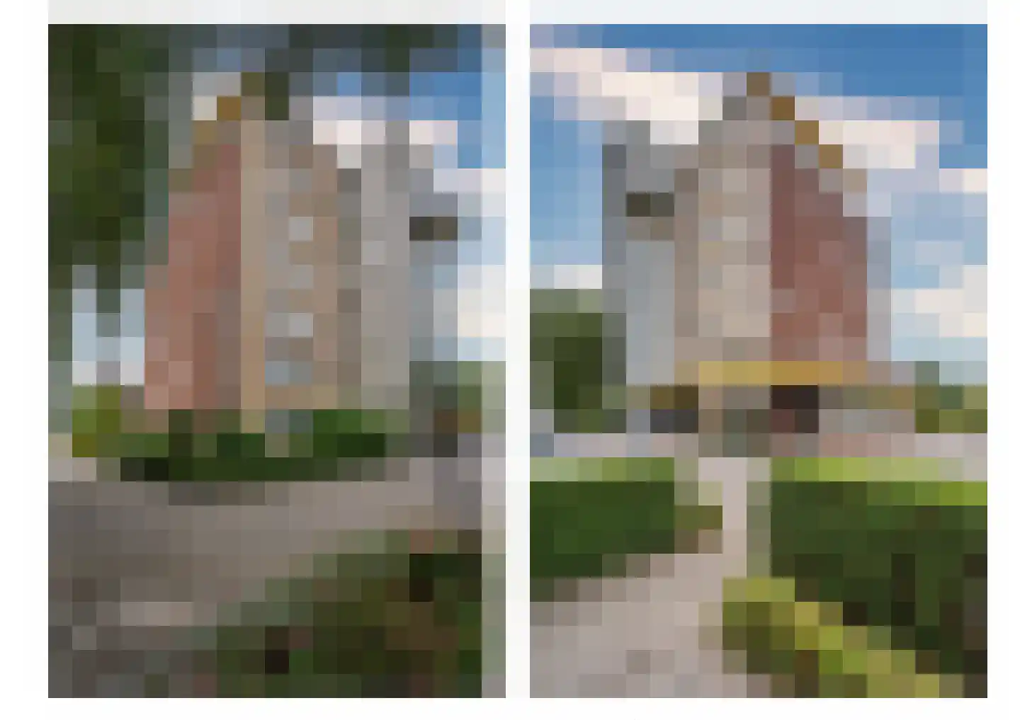 Veldzuring 53 Venlo thumbnail 43