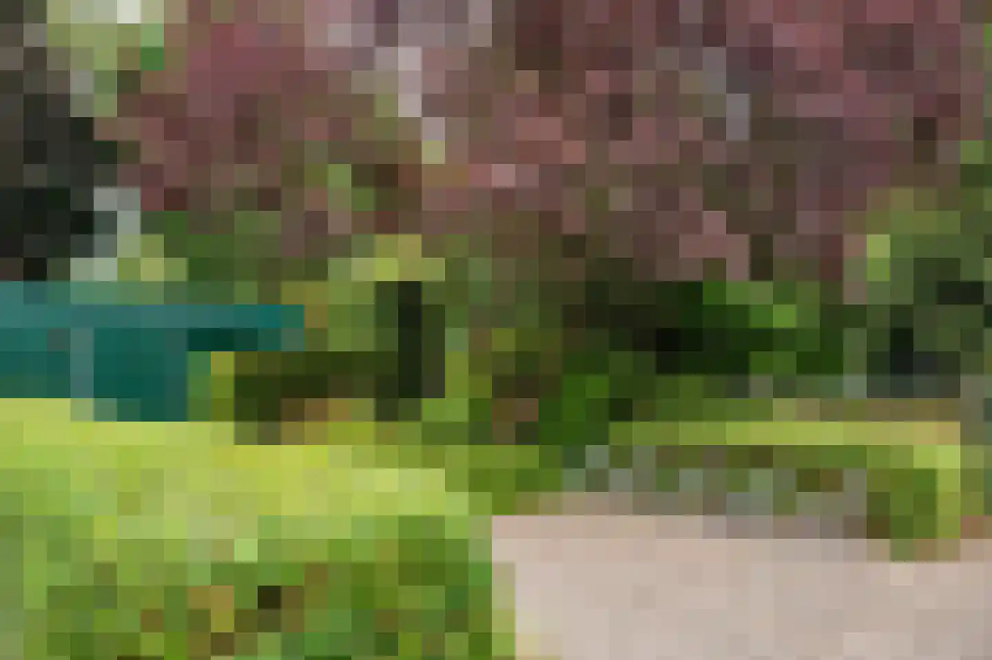 Veldzuring 53 Venlo thumbnail 45