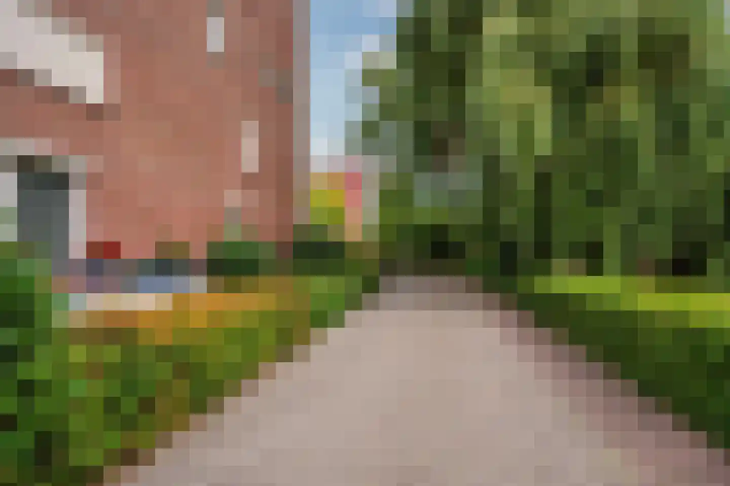 Veldzuring 53 Venlo thumbnail 49