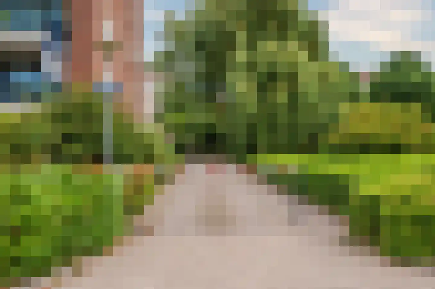 Veldzuring 53 Venlo thumbnail 50