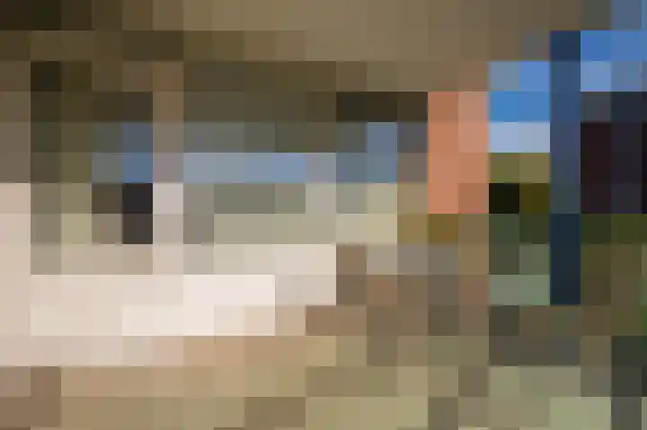 Veldzuring 61 Venlo thumbnail 13