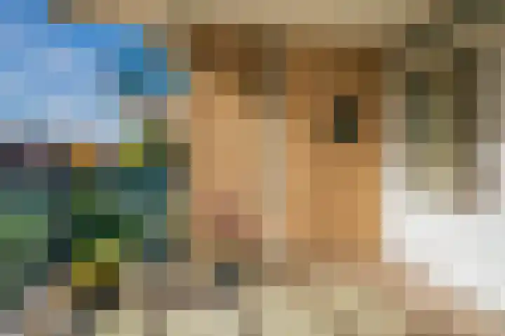 Veldzuring 61 Venlo thumbnail 14