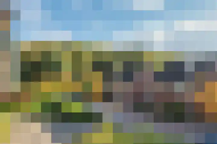 Veldzuring 61 Venlo thumbnail 16