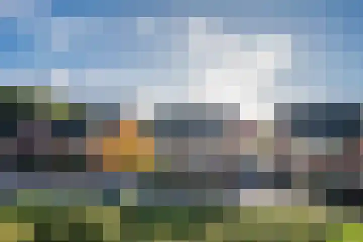 Veldzuring 61 Venlo thumbnail 17
