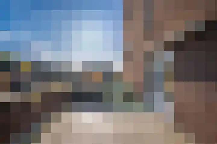 Veldzuring 61 Venlo thumbnail 22