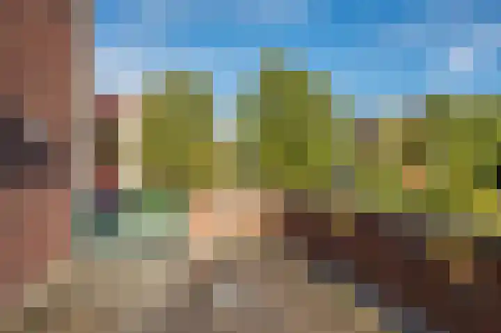 Veldzuring 61 Venlo thumbnail 23