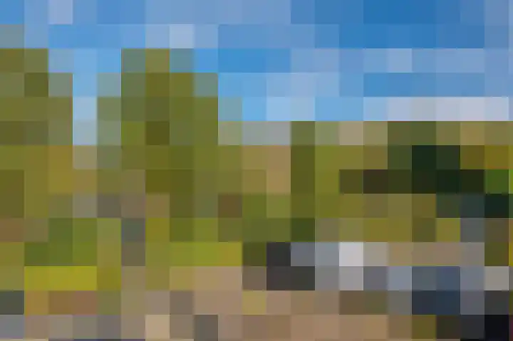Veldzuring 61 Venlo thumbnail 24